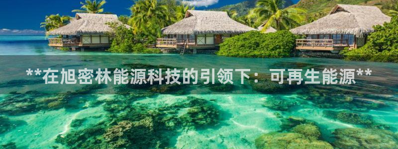 sunbet最新登陆