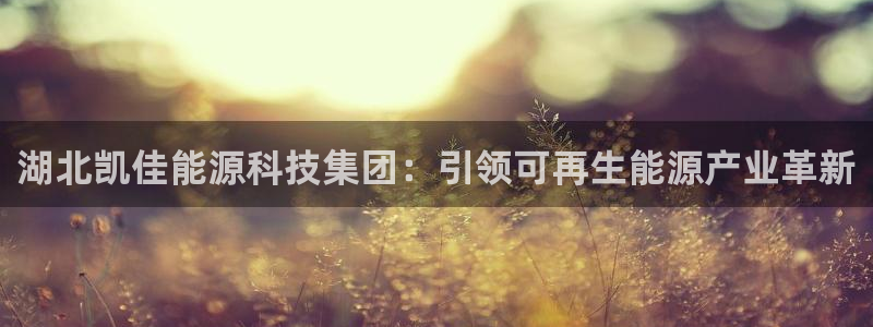 sunbet游戏网