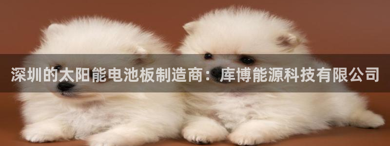 申博手机网站