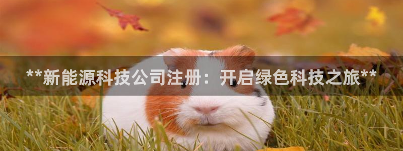 sunbet最新消息