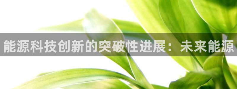 sunbet手机版官网下载