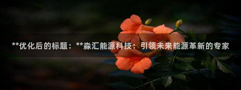 申博手机版官网