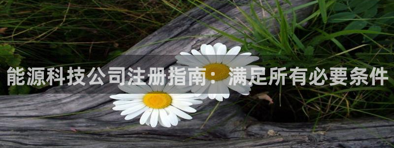 sunbet官网登录首页