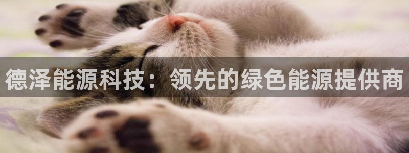 sunbet中国官网