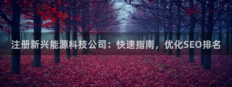 sunbet源码