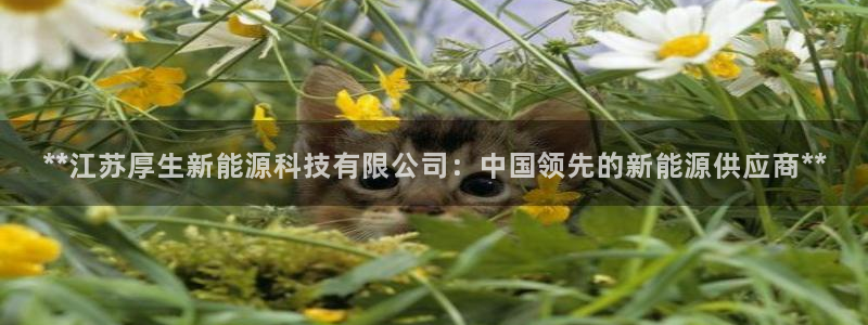 sunbet申搏app下载