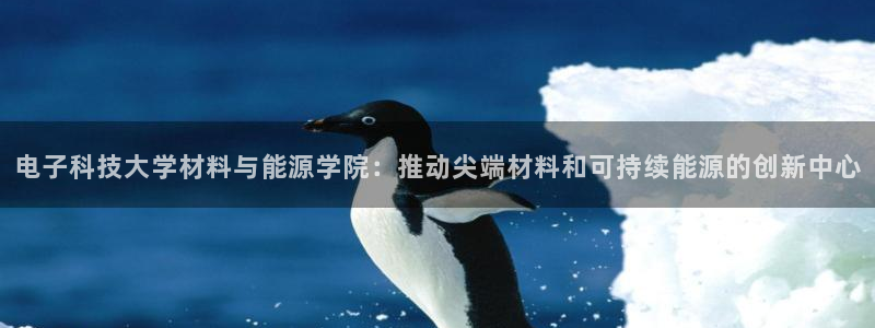 sunbet英语翻译