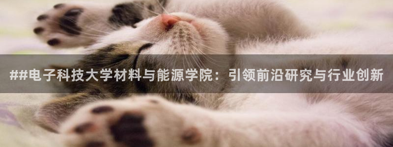 sunbet靠谱吗