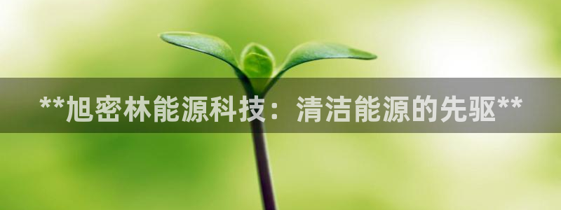 sunbet手机端