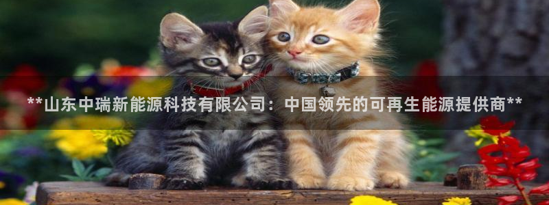 申博官方网站
