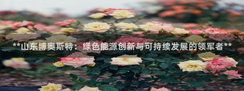 申慱sunbet版app