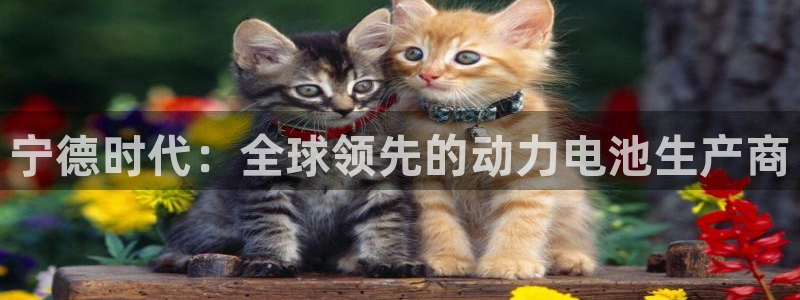申博app下载