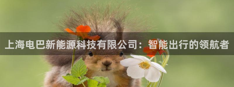 下载申搏sunbet并安装app