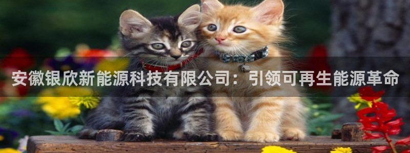 申慱sunbet网站