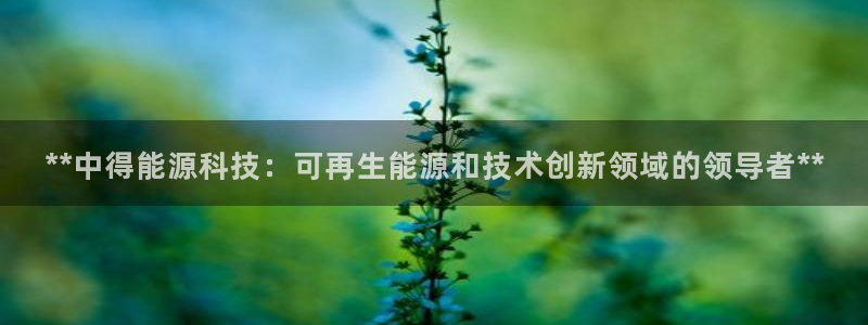 sunbet中国官网