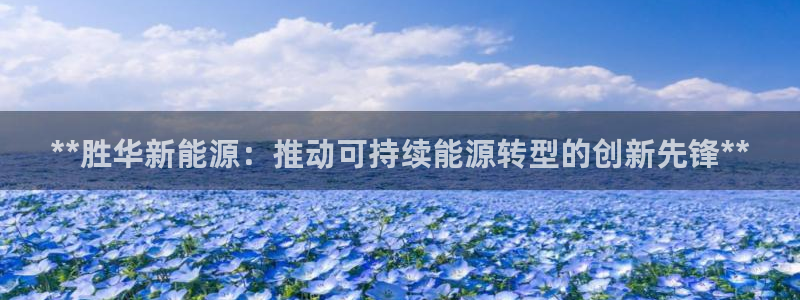 sunbet手机端