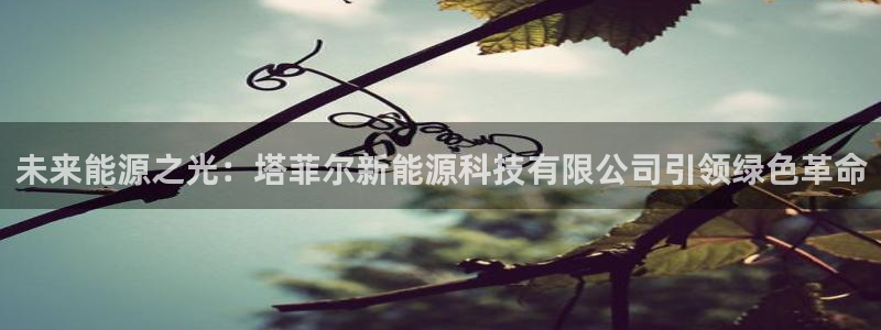 sunbet中国官网