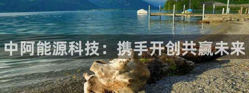 sunbet手机网页版本