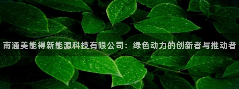 sunbet官网手机版登录