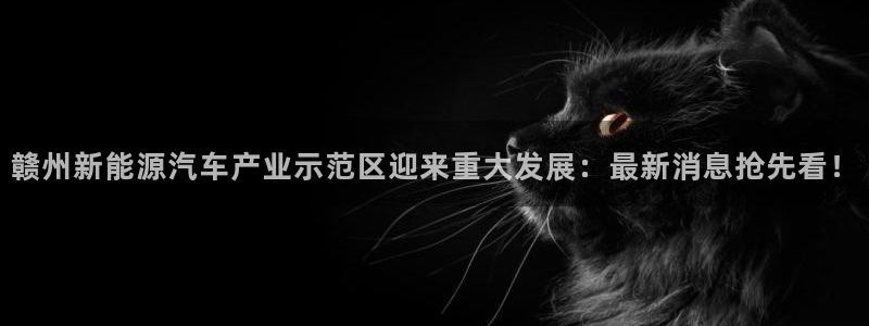 sunbet最新消息