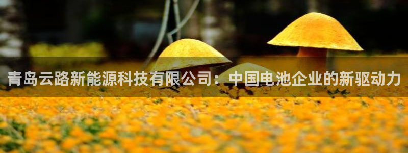 sunbet手机端
