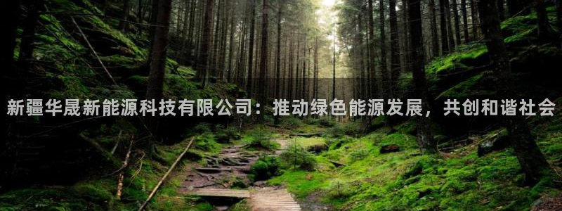 sunbet手机版官网下载