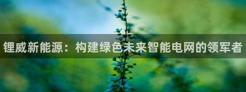 sunbet官网app首页