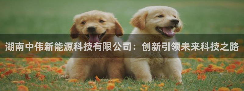 sunbet游戏网