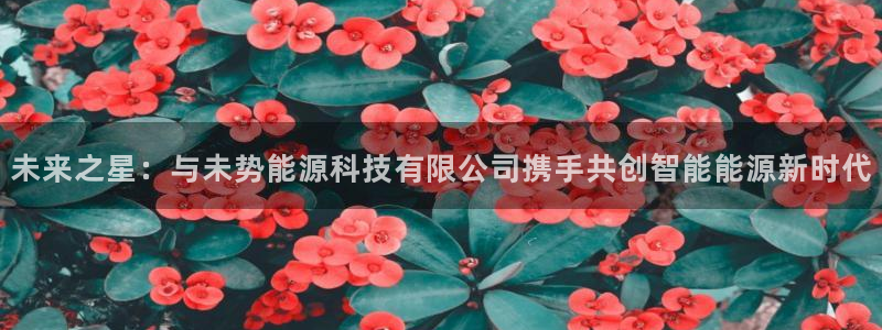sunbet申搏平台