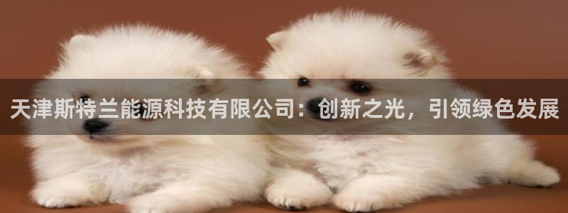 sunbet手机版登录