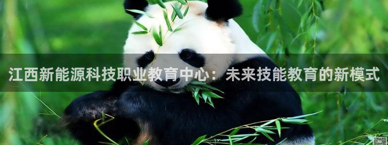 sunbet手机版官网下载