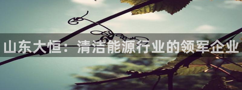 sunbet首页登录入口