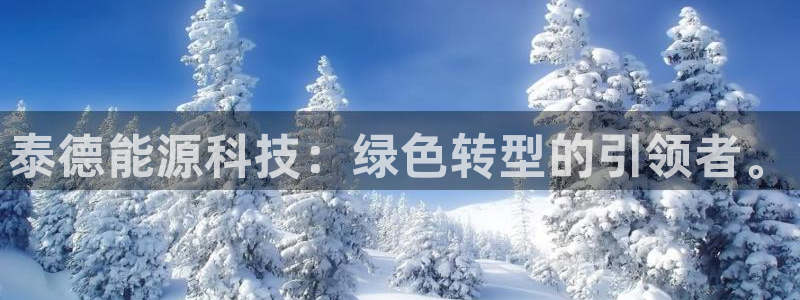 sunbet游戏地址