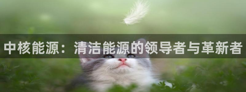 sunbet线上真人手机版