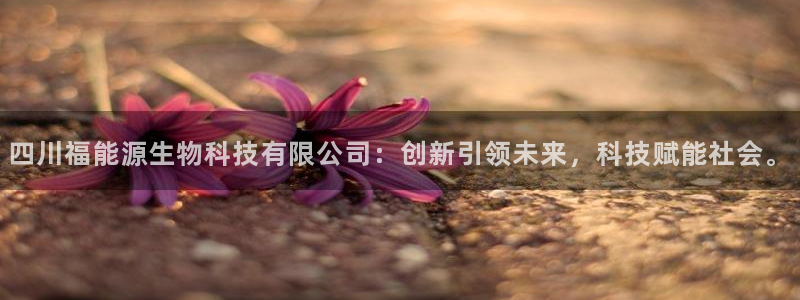 sunbet手机版官网下载