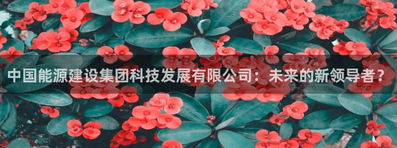 sunbet手机app版