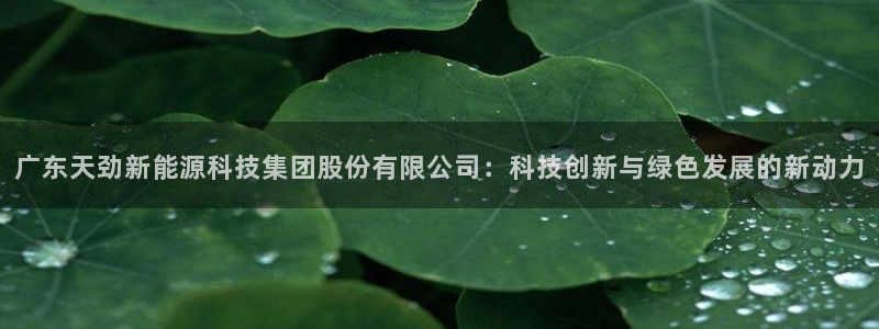 sunbet英语翻译
