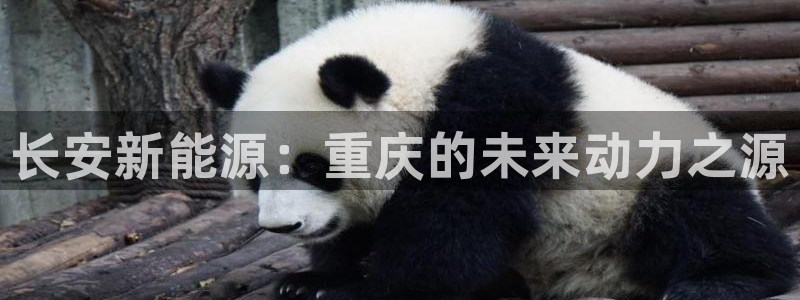 sunbet靠谱吗