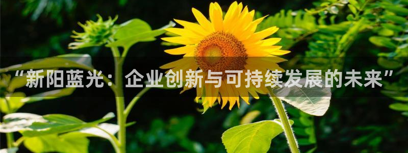 sunbet官网手机版