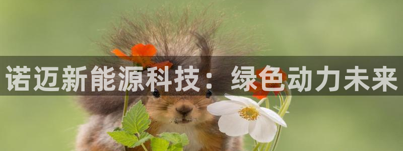 sunbet游戏最新版