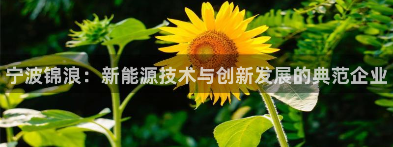 申博手机网站