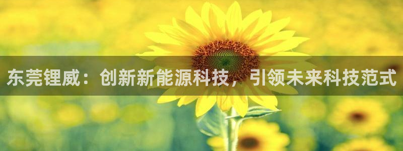 sunbet官网代理下载