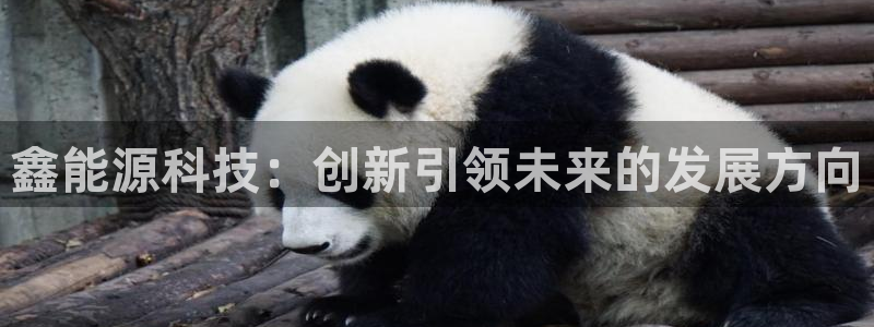 申博手机版app下载