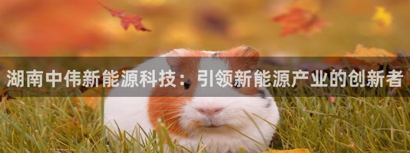 sunbet官网手机版登录