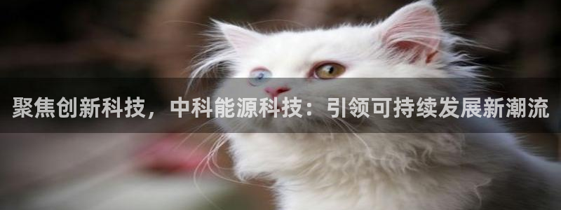 sunbet官网app首页