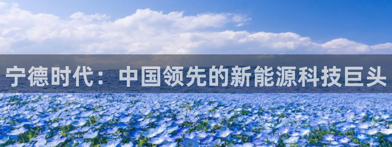 sunbet手机版登录