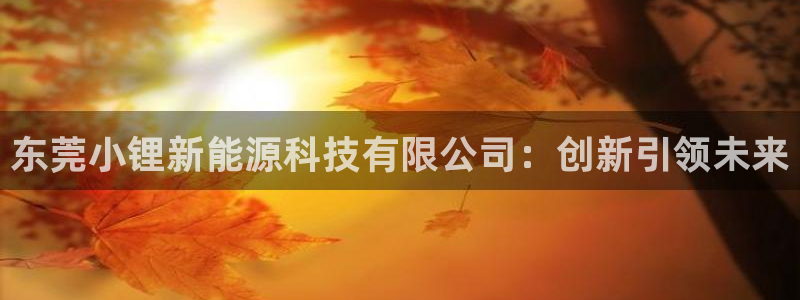 sunbet官网手机版