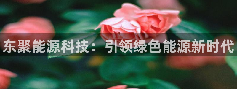 sunbet官网登录首页