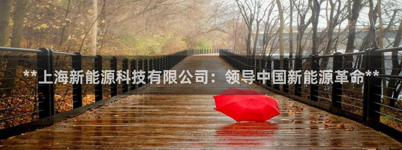 sunbet手机网页版本