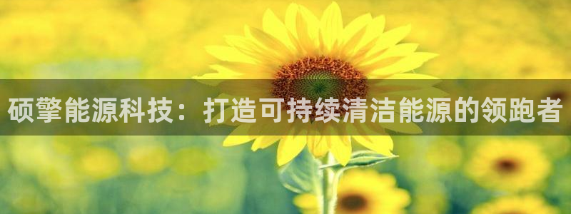 sunbet游戏最新版